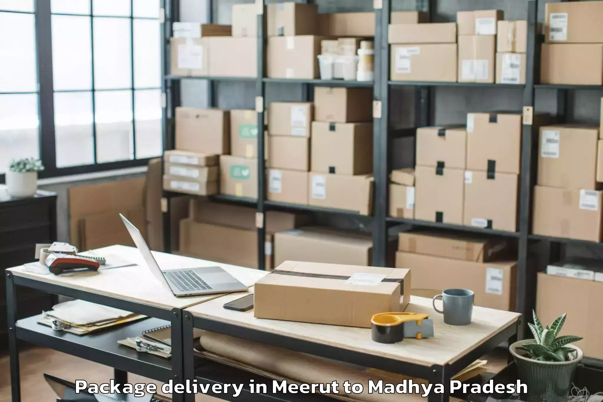 Book Meerut to Kalapipal Mandi Package Delivery Online